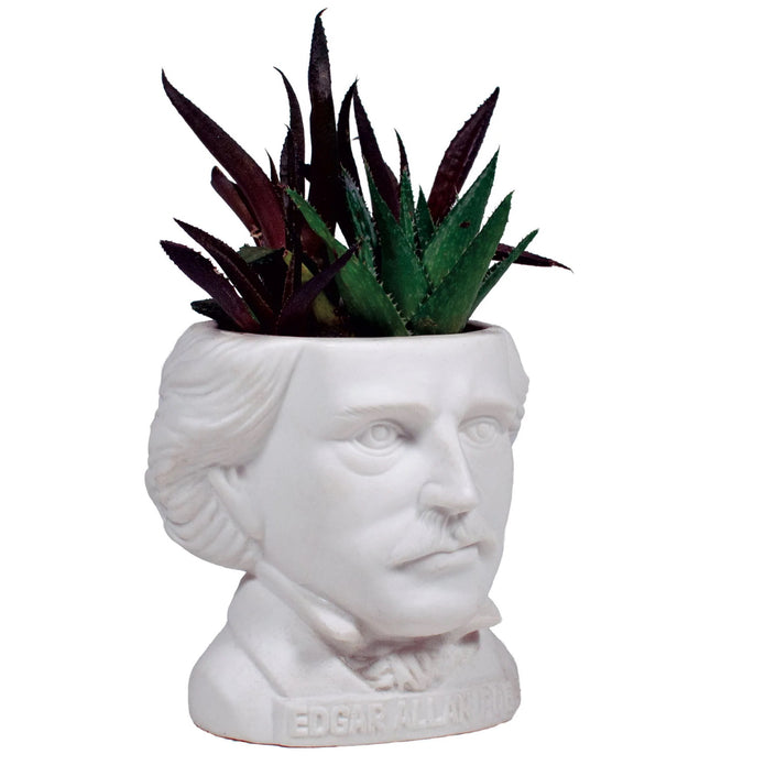 Edgar Allan Poe Small Ceramic Planter from The Unemployed Philosophers Guild