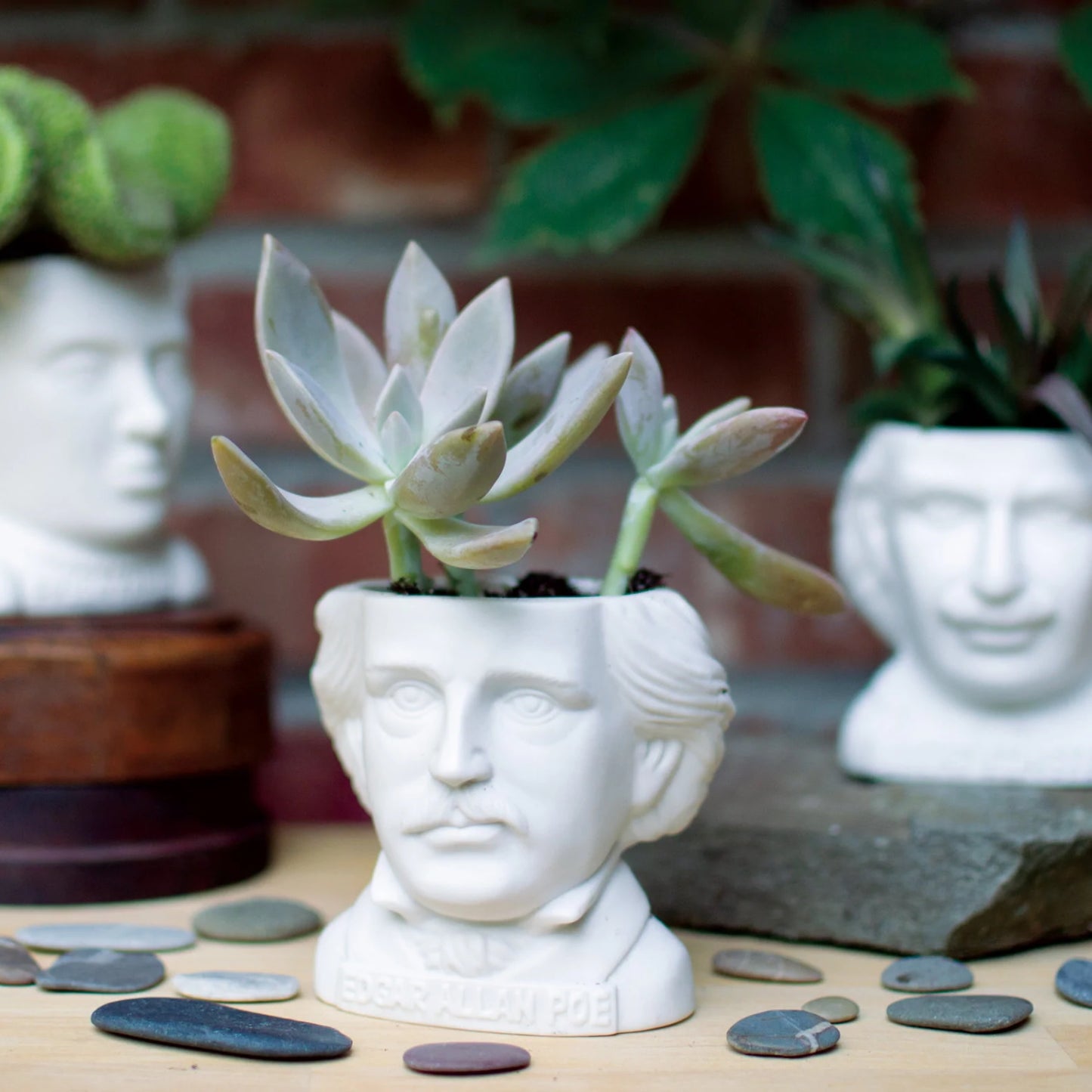 Edgar Allan Poe Small Ceramic Planter from The Unemployed Philosophers Guild
