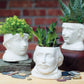William Shakespeare Small Ceramic Planter